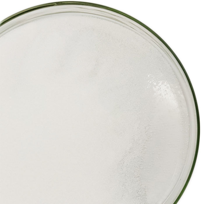 CAS 556-88-7 Matérias-primas sintéticas em pó de Nitroguanidina em tambores