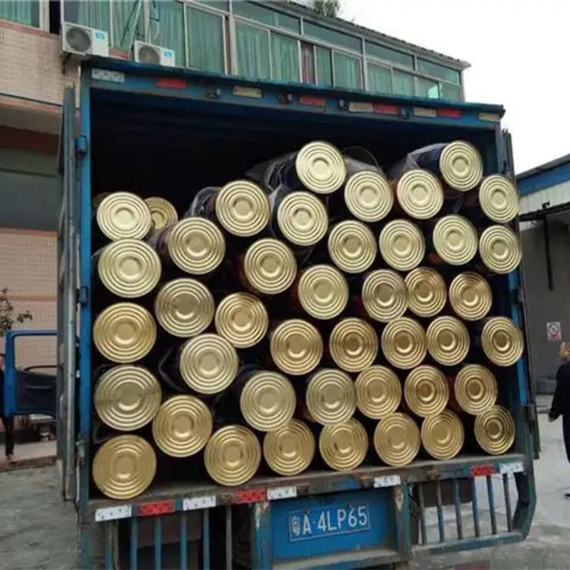 Adjuvante de silicone CAS 67674-67-3 C7H22O2Si3 GT-248 Polidimetilsiloxano terminado em metanol (hidroxi)